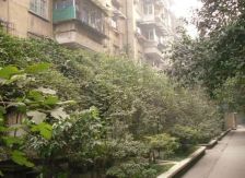 青羊西路2号院3室1厅东南
