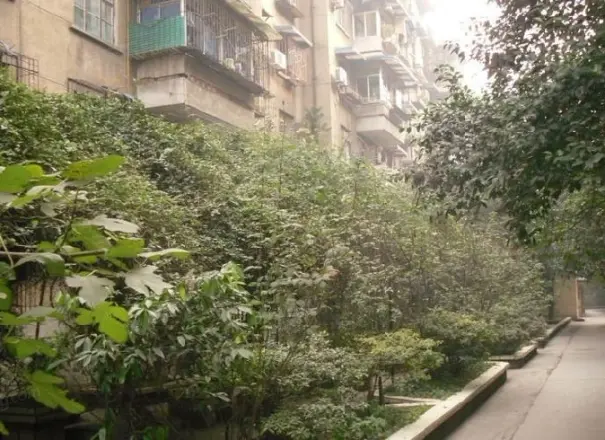 青羊西路2号院实景图