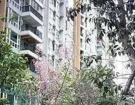 钢管厂三区2室1厅西南