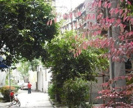 东城叠苑实景图