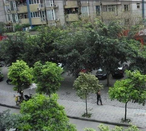 东城叠苑实景图