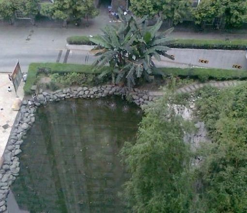 东城叠苑实景图