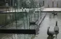 自由天地实景图