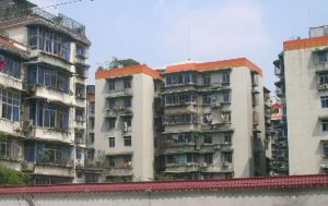福珠苑3室3厅东东南
