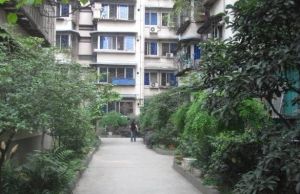 文庙西街31号2室2厅南