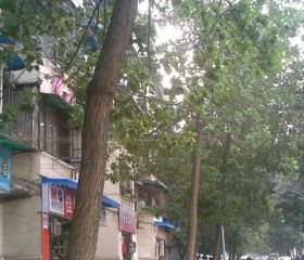 东马棚街10号 2室1厅 南