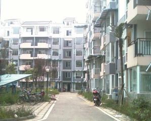 金沙美邻丽锦苑3室2厅南