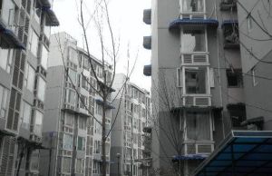 金沙美邻丽锦苑1室1厅西南