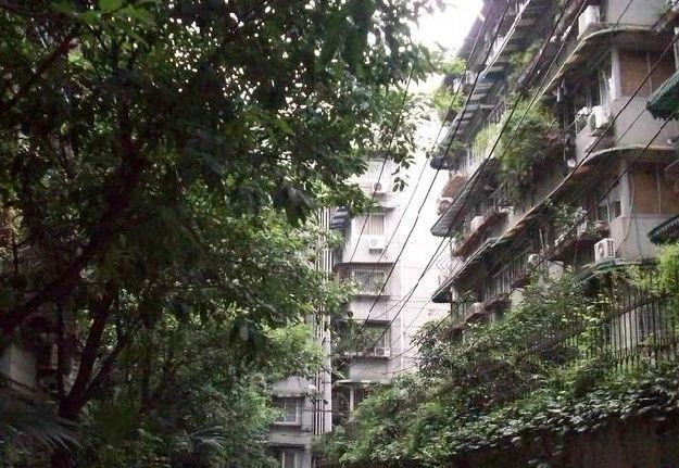 小区相关图