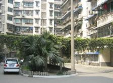 清江东路5号3室2厅东西