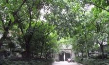 清江东路5号3室1厅东南