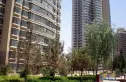 蓝宝石大厦实景图