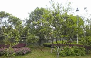 漫草园一期4室2厅东南