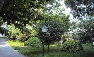漫草园一期3室2厅东南