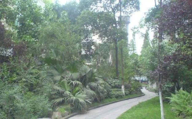 白云小区实景图