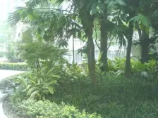 正规两房带大阳台,户型方正,交通配套方便