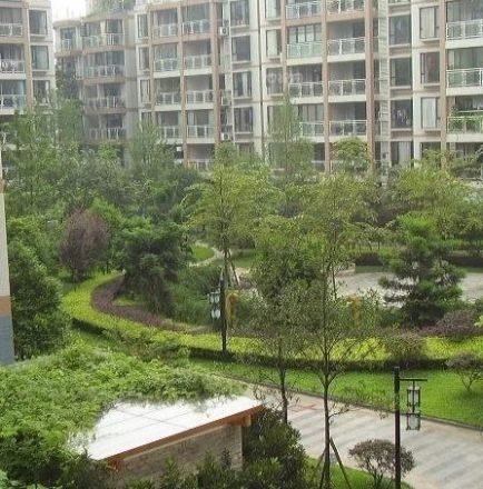 丽都半岛实景图