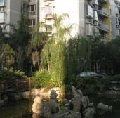 丽都半岛 2室1厅 东北