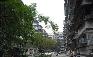 新风路39号2室1厅南