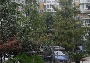 桃蹊社区 3室1厅 西北