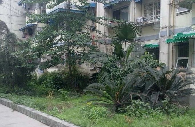 小区相关图