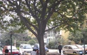 天府苑2室2厅东南