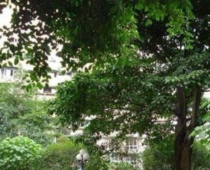 天府苑2室1厅南北
