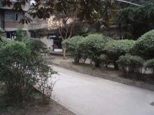 南苑(成华)2室1厅南