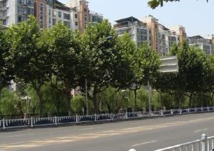 枫尚领域2室2厅南北