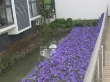 白塘·白塘景苑一二期·3室·2厅