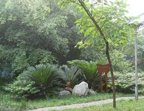 二环路北一段203号院