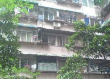 电子十所宿舍 3室1厅 南