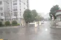 翠屏东南实景图
