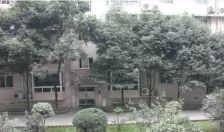 雅仕苑3室1厅南