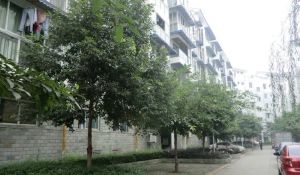 金色逸景2室2厅东南