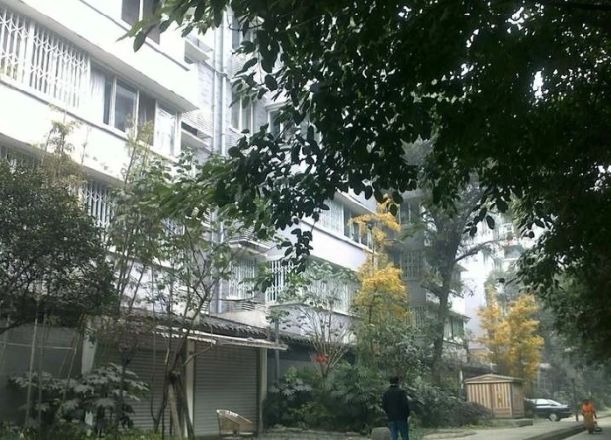 支矶石街15号实景图