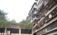 苏坡中路77号大院2室1厅东南