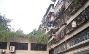 苏坡中路77号大院2室1厅南