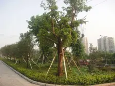 花溪 巴比亚半山一房34万