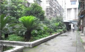 草市街39号2室1厅西南