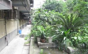 【草市街39号院】| 成都市青羊区草市街123号1栋9楼5号房产