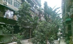 草市街39号2室1厅西南
