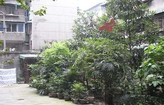 小区相关图