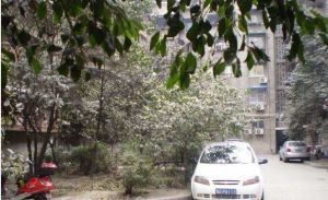 牧电路8号院落 2室1厅 南 北