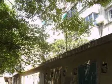 南环西路140号 1室1厅 北