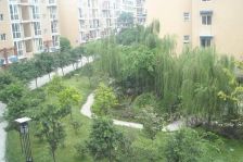 柳城华厦 2室2厅 东南