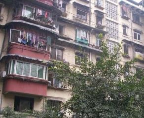 圆梦苑3室2厅东南