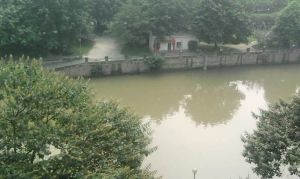 宏城公寓 3室2厅 南