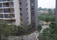 学府苑(新都)1室1厅东南南西南