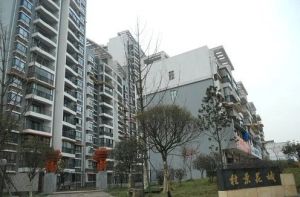 桂景花城2室2厅南